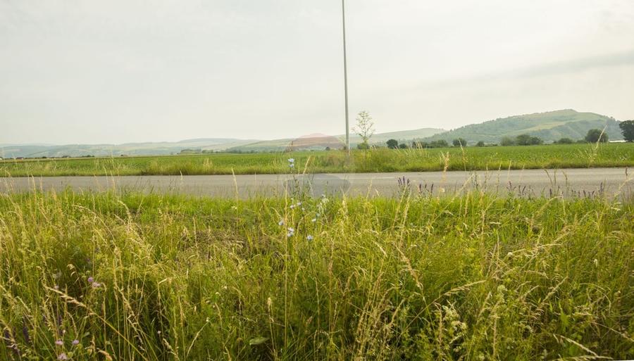 Teren Bod, cartier Poiana Craitelor, 732-2196mp, utilități, - 6