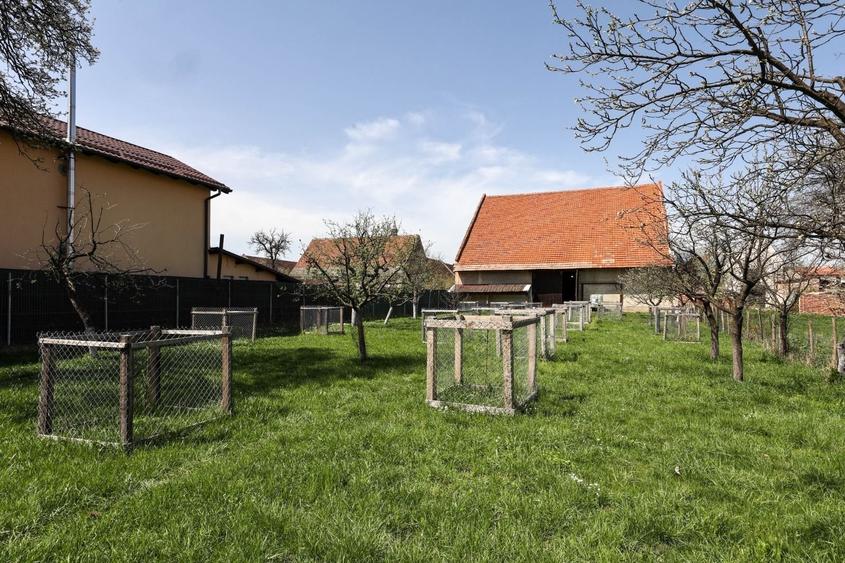 Casă Săsească Autentică cu Șură Impresionantă în Cristian – Teren 2729mp - 10