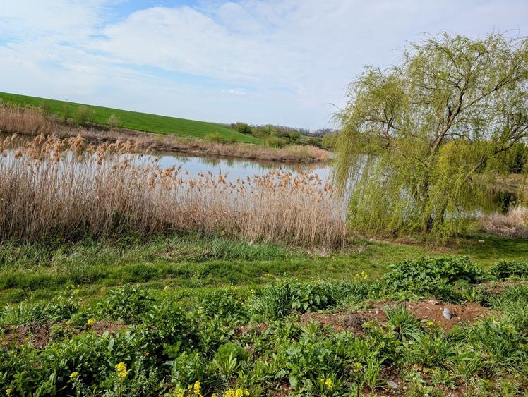 Paradisul Verde-Corbeanca,intravilan,10300mp,deschidere lac-120m,view deosebit - 2