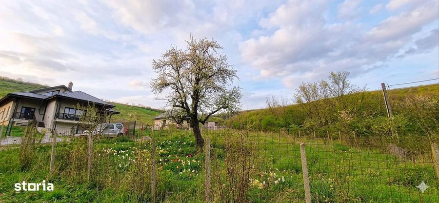 Teren intravilan, 1026 mp, deschidere doua drumuri, Tomesti, Iasi - 3