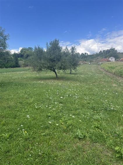 RECO, Casa la pret de teren, in Cetea, Borod,Bihor - 3