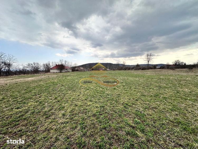 Teren de vanzare Blagesti Bacau - 7