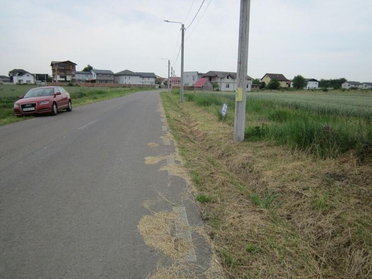 Domnesti-Narciselor - 17