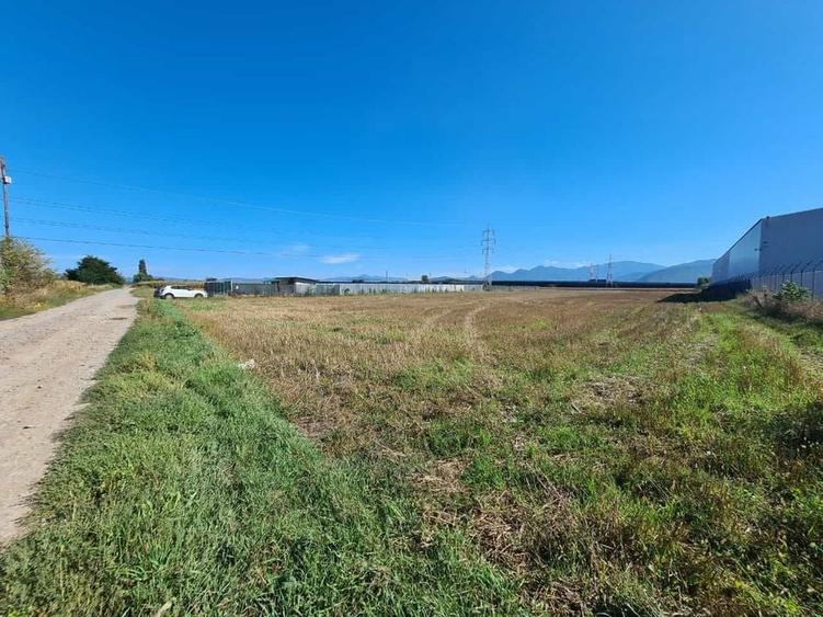 Teren industrial Stupini - 6