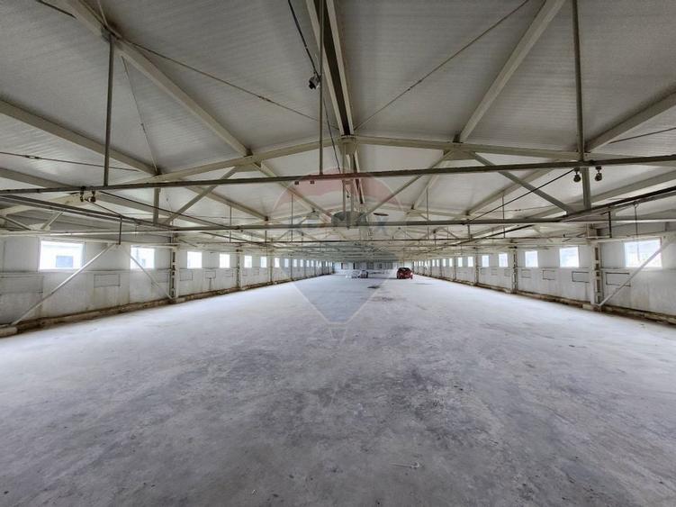 Hala depozitare sau productie Ciorogarla | Darvari 2.8 E/mp - 2