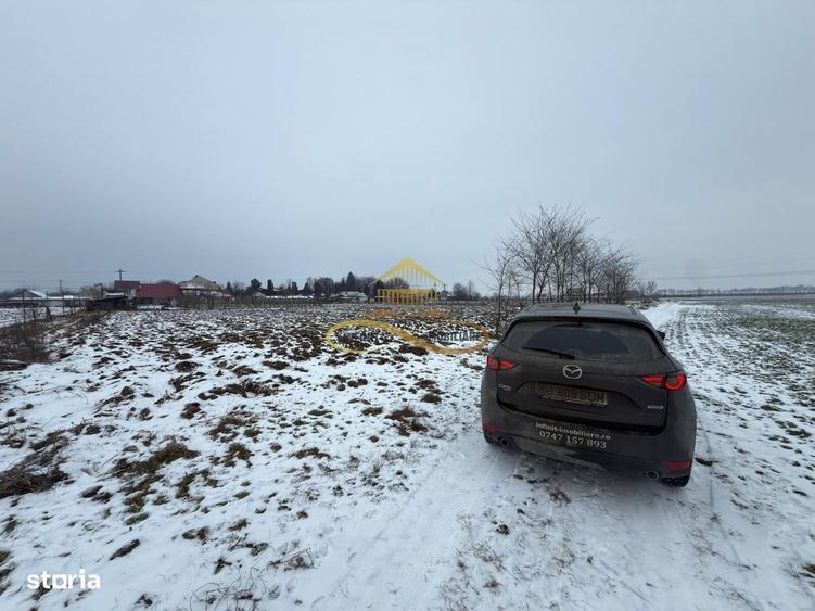 Teren agricol extravilan in Itesti de vanzare - 2