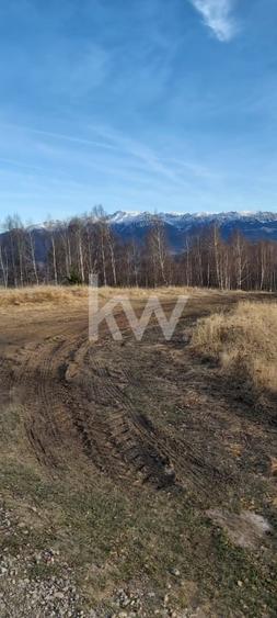 Teren de vanzare Sirnea- Comision 0% - 5