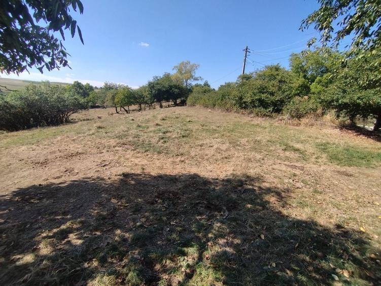 Teren Construcții intravilan de 2200 mp, în Mănăstioara (Siret)
