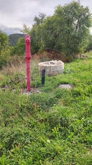 Teren constructii si faneata/livada 3082 mp Damis Bratca drum DJ 764D - 6