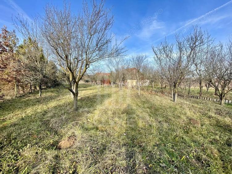 Teren intravilan 1.915 mp + cabana din lemn | Tocile Sadu