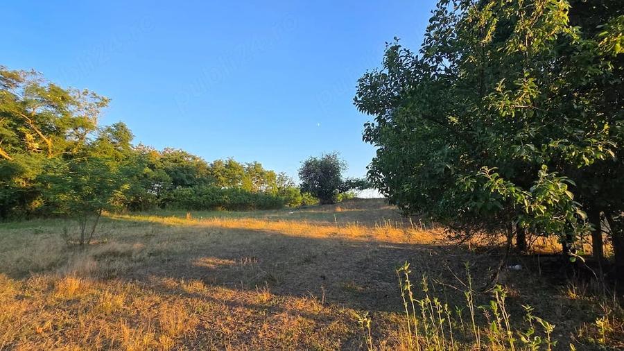 Teren de 40000 mp, în Central