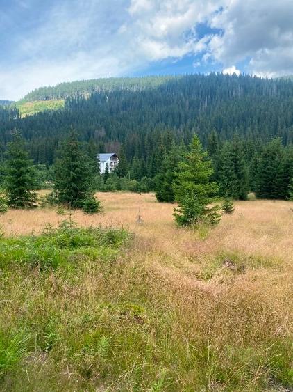 2 terenuri in zona Obarsia Lotrului - 11