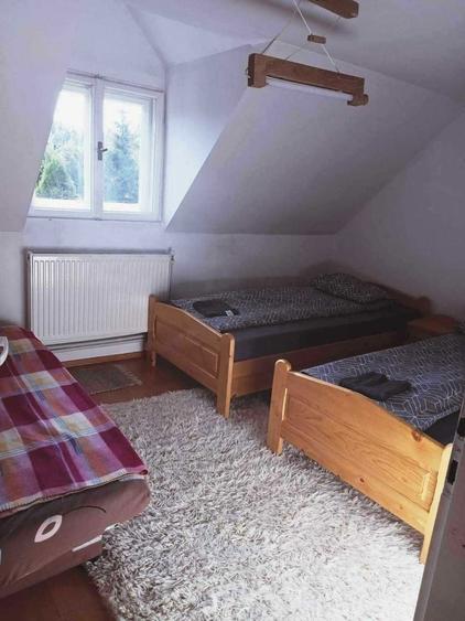 Casa de vacanta Izvorul Muresului - 5