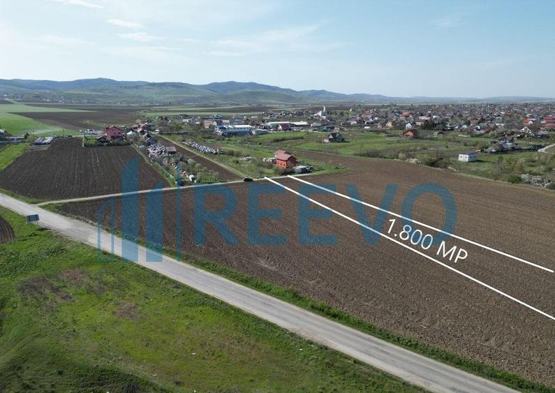 Teren de vanzare, Com. Nicolae Balcescu, Jud. Bacau - 1