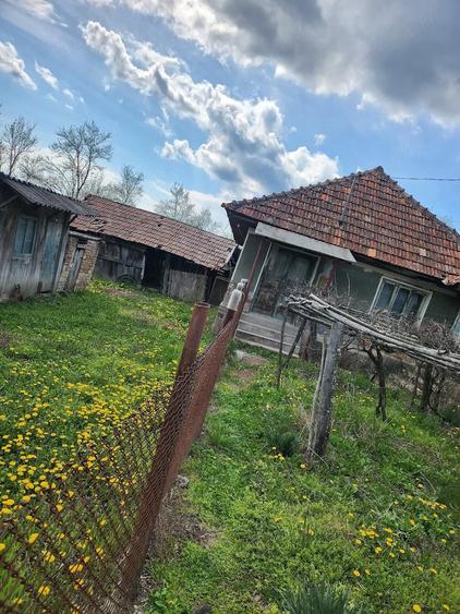 Casă cu Teren 1255 Mp în Săcelu