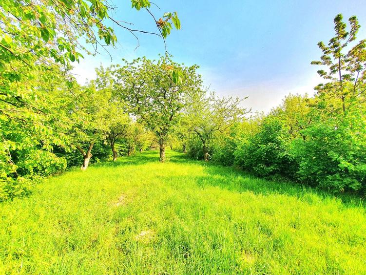Teren agricol extravilan de 3200 mp, în Rășinari