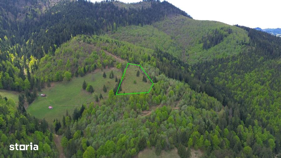 Teren de 10270 mp, în Sadova