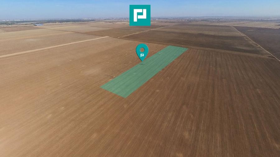 Teren agricol extravilan de 29900 mp, în Exterior Sud