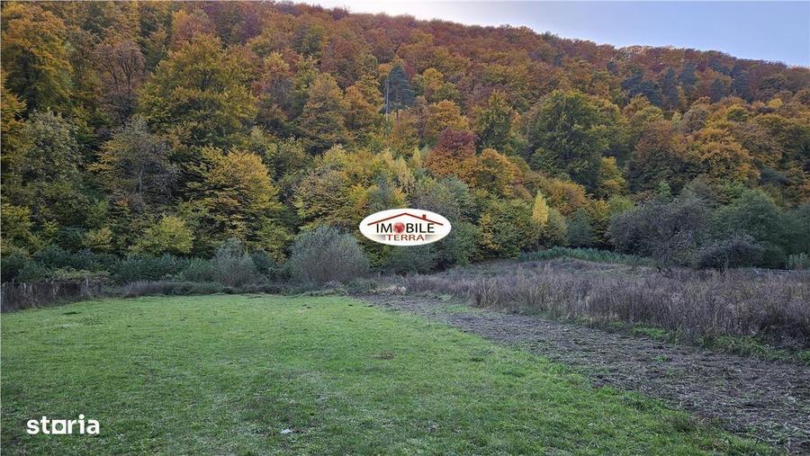 Teren de 310 mp, în Central