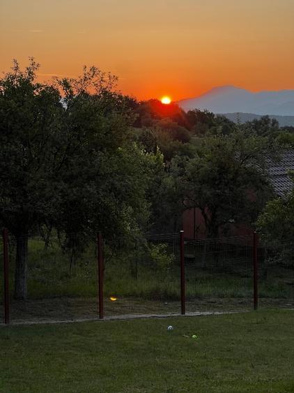 Casă individuală cu 3 camere cu Teren 7500 Mp în Sulighete