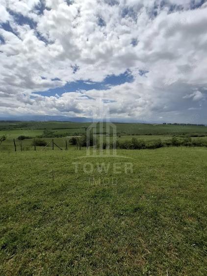 Teren de 11500 mp, în Daia