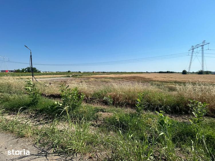 Teren de 11000 mp, în Frumușani