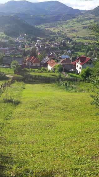vind teren in com Rucar jud Arges - 2