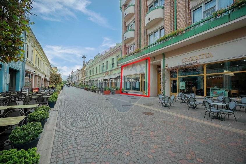 Spatiu comercial 90mp de inchiriat in zona Ultracentral, V. Alecsandri