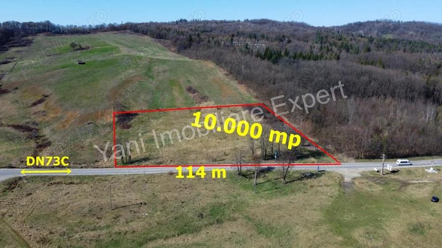 Teren 10.000 mp de vanzare in comuna Valea Ia?ului, jude? Arge?. - 8