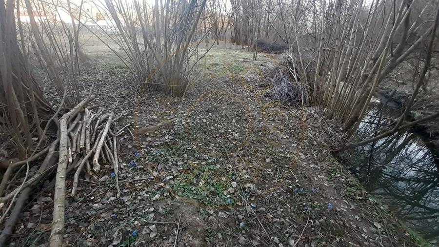 Teren intravilan pentru Casa de Vacanta - Mosoaia -Basangesti - 8