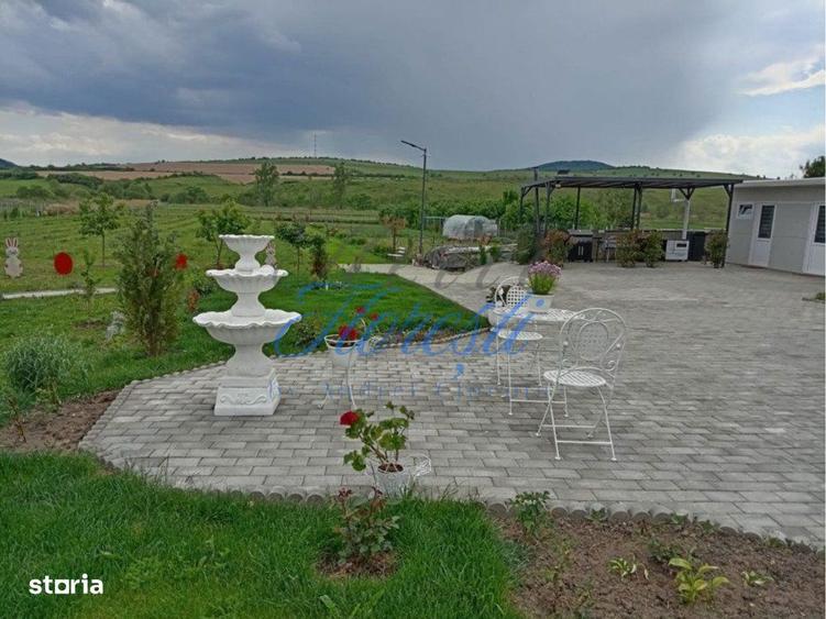 Casa 3 camere + plantatie de zmeura, 200 mp, Fodora, Cluj - 6