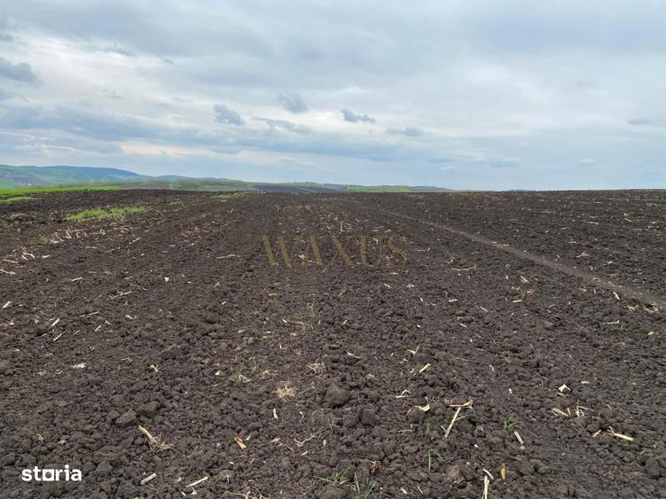 Teren extravilan, 10.200mp, judetul BN - 1