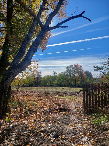 Vând teren 4200mp, int și ext în Romani  de jos - 3