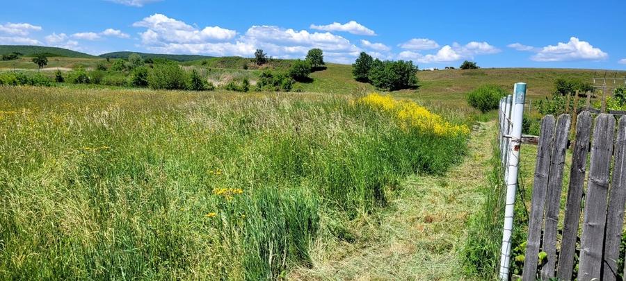 Teren Intravilan de vanzare - 3