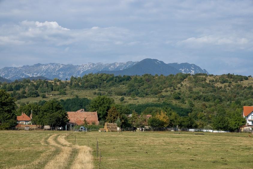 2 Parcele 865mp/855mp - intravilan cu utilitati Tohanu nou DN73 - 2