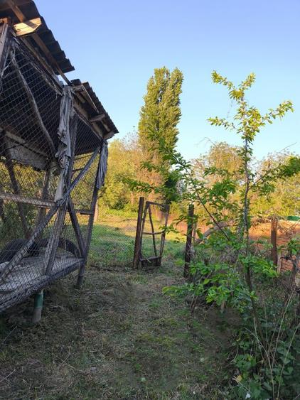 Vand proprietate in Sibot - 4