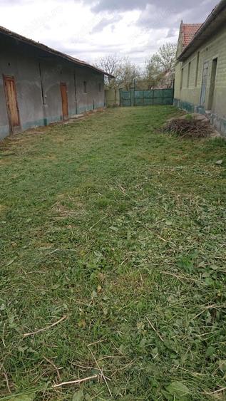 Vand casa cu teren 5725 mp, livada 100 pomi fructiferi, hala 220 mp in Dragoiesti, jud Timis - 8