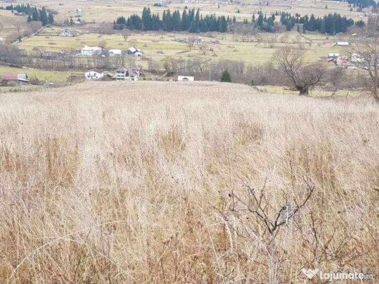 Teren ?aru Dornei 5 hectare - 4