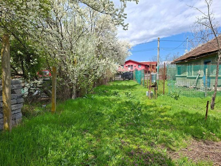 Teren intravilan premium de vanzare Snagov, Locatie exclusivista, fara riscuri - 7