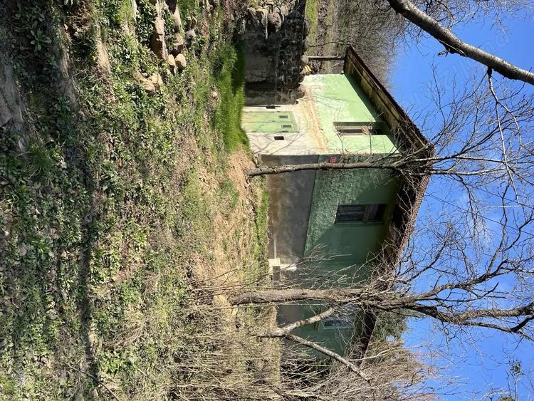 Vand casa cu teren ?i livada in Seini, cu priveli?te de poveste - 1