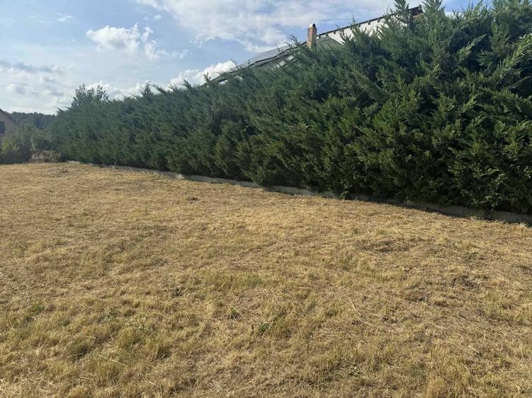 Kolcza, teren intravilan, cu plan casa si autorizatie construire - 11