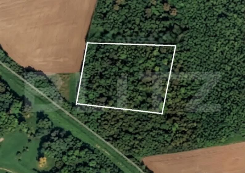 Parcela 10.000 mp la liziera padurii, ?ag front strad - 1