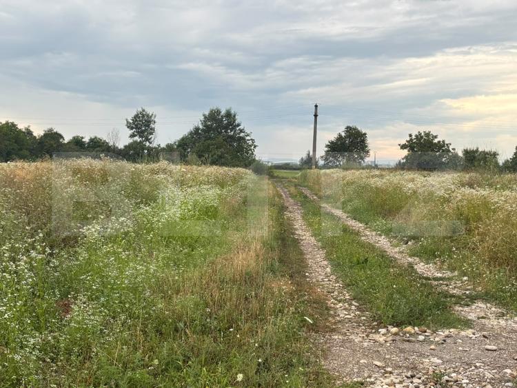 Teren Construcții intravilan de 536 mp, în Ulmi