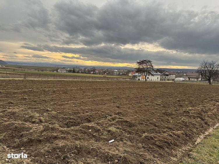 Teren intravilan in Mitoca?i - 7