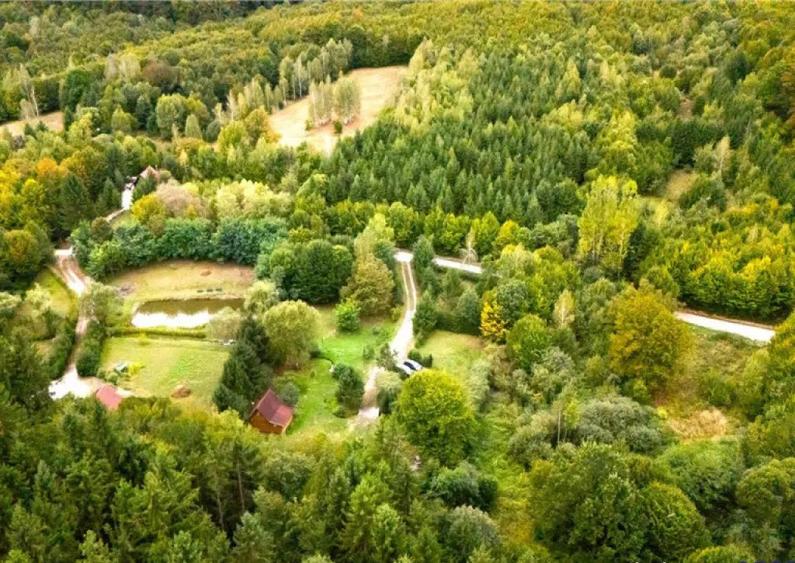 Tur 3D!Cabana de vacanta,zonare valoroasa, cu teren de 2.100 - 4