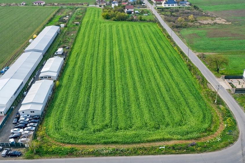 Teren intravilan 7.811 mp | Ciolpani, Ilfov | Acces drum public - 2