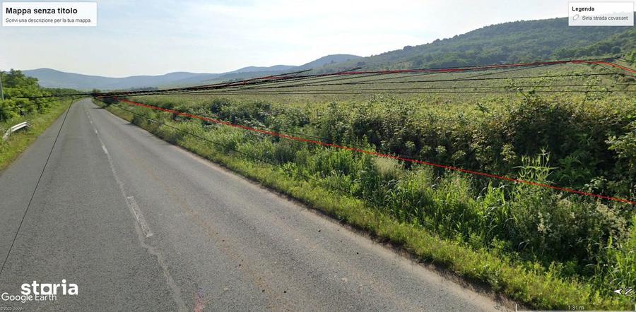 Lot compact 18,57 HA , vita de vie nobila pe rod - 1