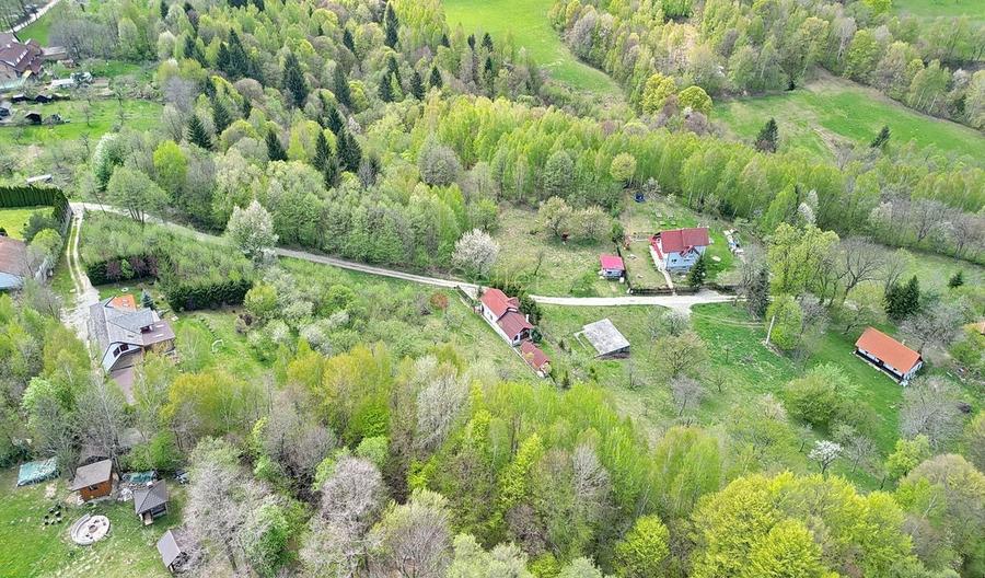 Teren intravilan Bran- Predelut - 8