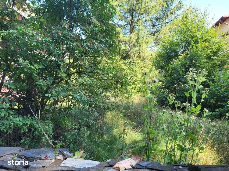 Casa de vanzare Busteni-Poiana Tapului - Zamora - 7