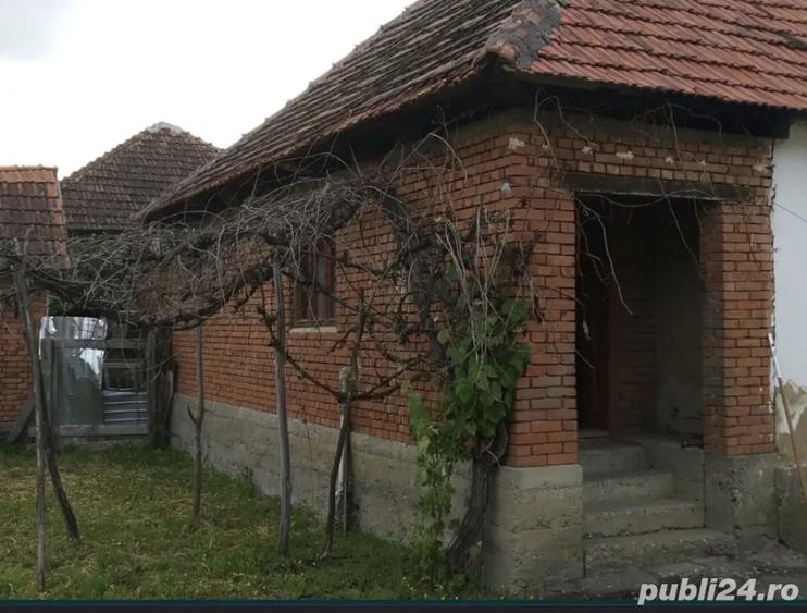 Vand Casa cu Gradina - 2